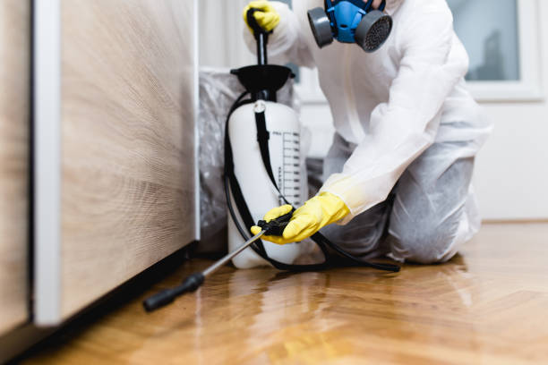 Professional Pest Control in Dubach, LA