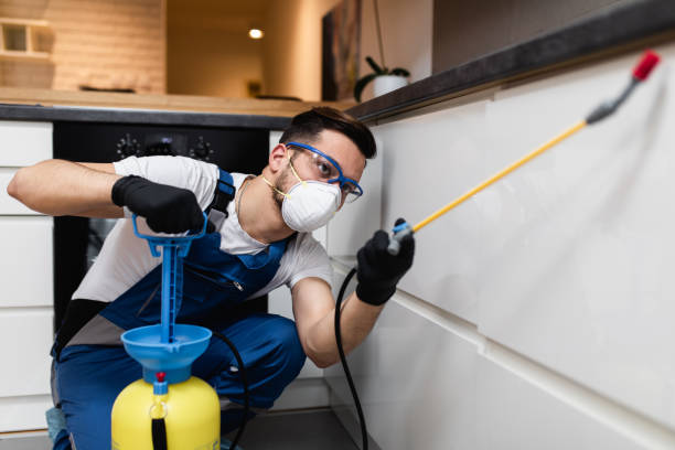 Best Pest Prevention Services  in Dubach, LA