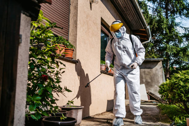 Best Cockroach Control Services  in Dubach, LA