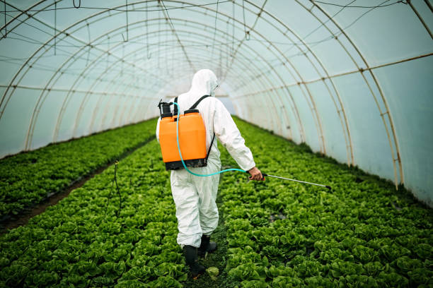 Best Pest Control for Homes  in Dubach, LA