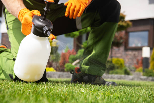 Best Affordable Pest Control Services  in Dubach, LA