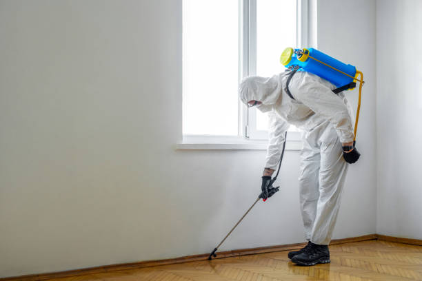 Best Commercial Pest Control Services  in Dubach, LA